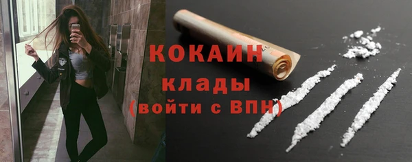 тгк Абаза