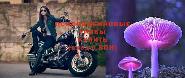 тгк Абаза