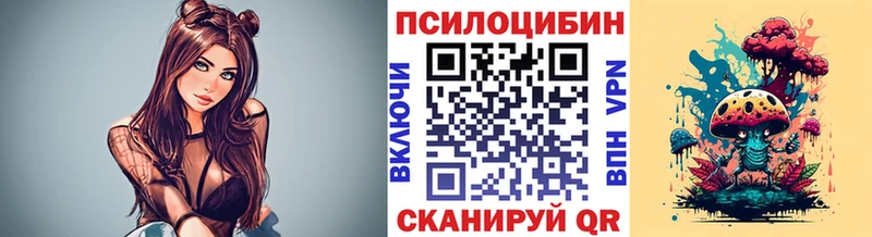 Галлюциногенные грибы Psilocybe  цена   Чулым 